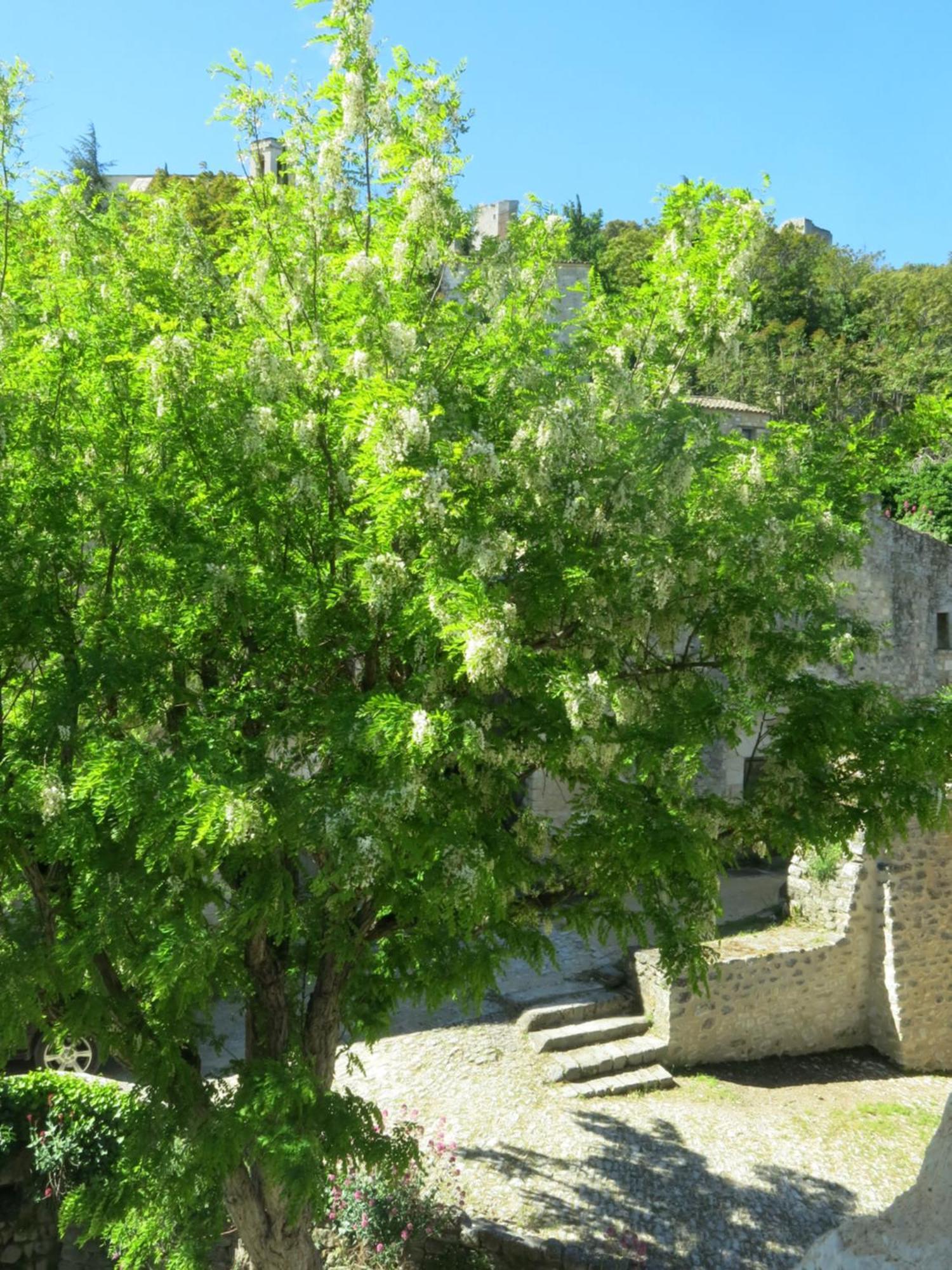 La Buissonniere Oppède Exterior foto